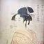 sunflowerのプロフィール画像