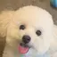 パンくんのプロフィール画像