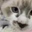 💐のプロフィール画像