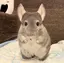 Maのプロフィール画像