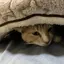 なおのプロフィール画像