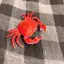 しげのプロフィール画像