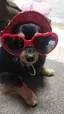 のんののプロフィール画像