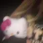 𝑯𝑨𝑹𝑼𝑨のプロフィール画像