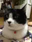 aのプロフィール画像
