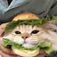 猫好きのプロフィール画像