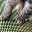 hinaのプロフィール画像