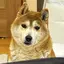 明美のプロフィール画像