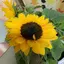 Mのプロフィール画像