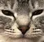 まえのんのプロフィール画像