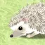 ひのプロフィール画像