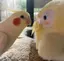 じゅのプロフィール画像