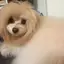 ゆきのプロフィール画像