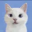 乃愛のプロフィール画像