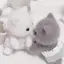 まのプロフィール画像