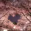 こたのプロフィール画像