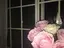 Nのプロフィール画像