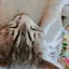 あさひのプロフィール画像