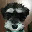 pnkzのプロフィール画像