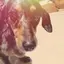 わたなべのプロフィール画像