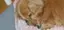 みーのプロフィール画像