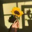 なっちゃんのプロフィール画像