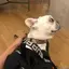 にこのプロフィール画像