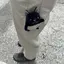 じゅのプロフィール画像
