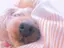 ありさのプロフィール画像
