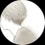 やののプロフィール画像