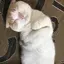。のプロフィール画像