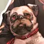 (👁👄👁)のプロフィール画像