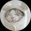tokoのプロフィール画像