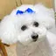 ひなののプロフィール画像