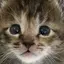 ふーのプロフィール画像