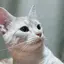 yukiのプロフィール画像