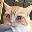 うみのプロフィール画像