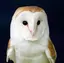 まりのプロフィール画像