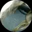 あいちょこのプロフィール画像