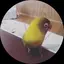 加奈のプロフィール画像