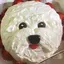ぐく゛のプロフィール画像