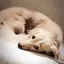 nanamanのプロフィール画像