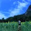 ぶひのプロフィール画像