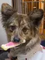 かばやきのプロフィール画像
