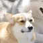 ^_^のプロフィール画像