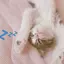sのプロフィール画像