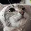 みゆらのプロフィール画像