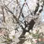 nのプロフィール画像