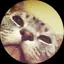 ともえのプロフィール画像
