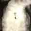 マツモトのプロフィール画像